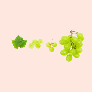 Grapeseed
