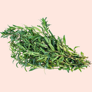 Bunch of fresh green leaves on a beige background