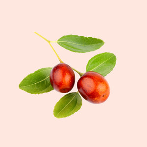 Jojoba