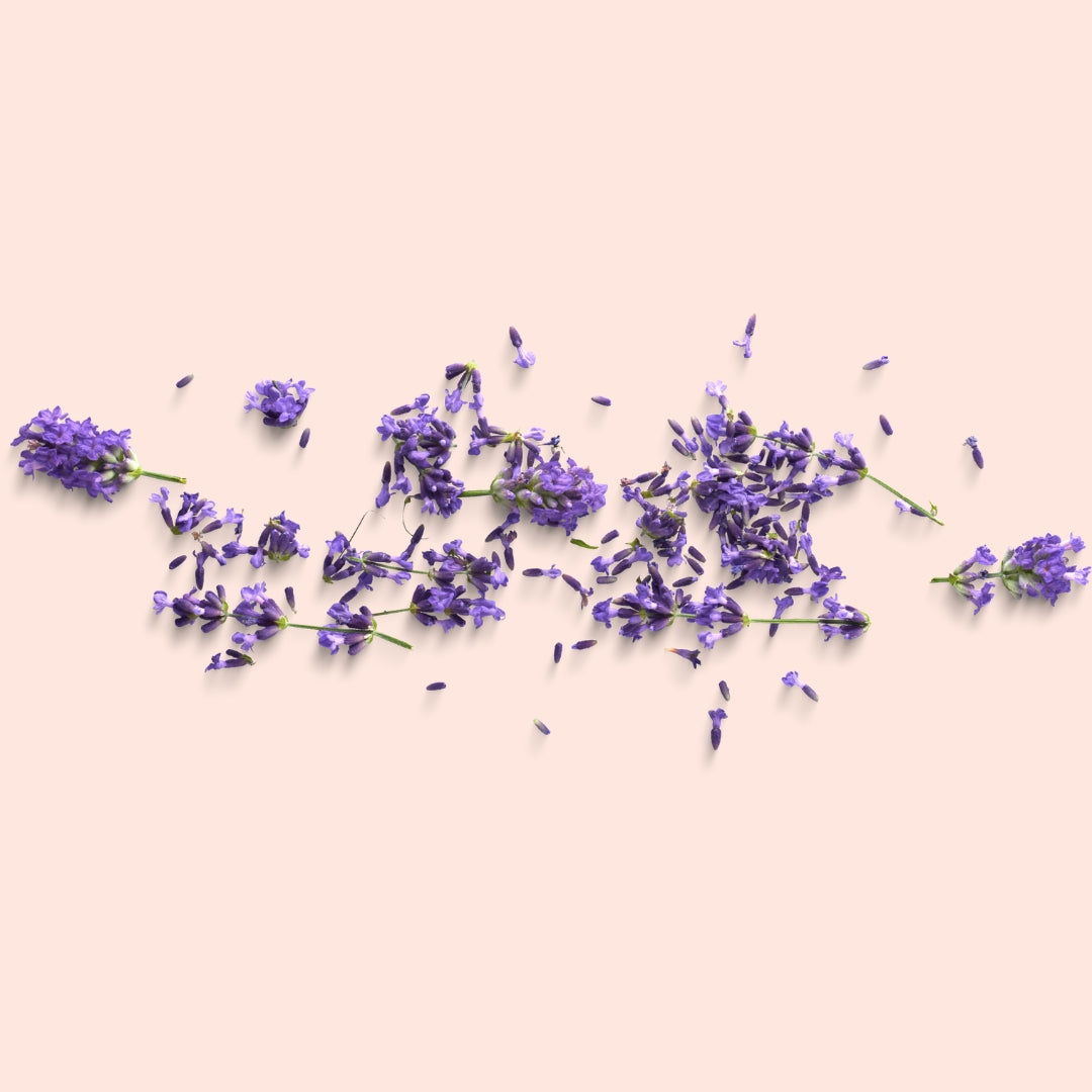 Lavender Buds