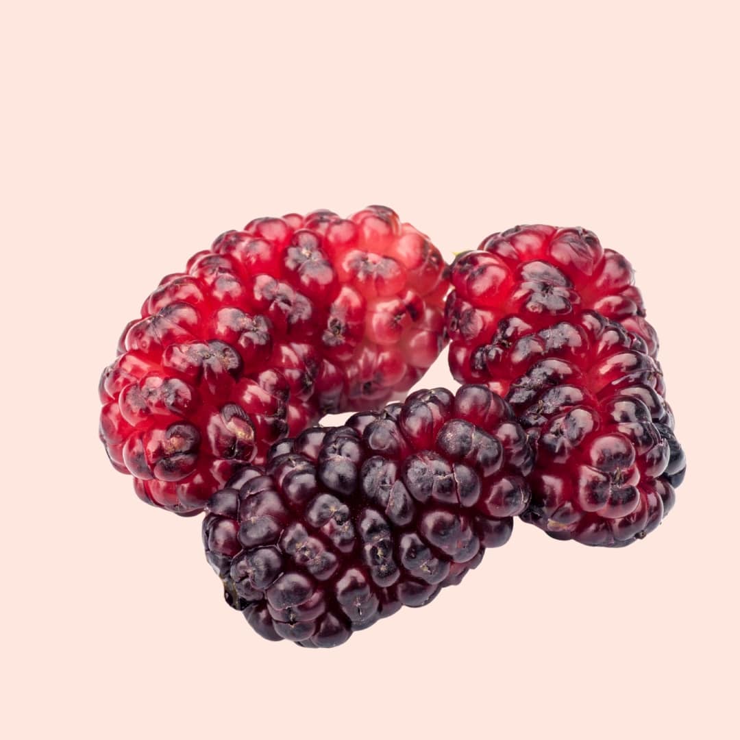 Close-up of three blackberries on a light pink background