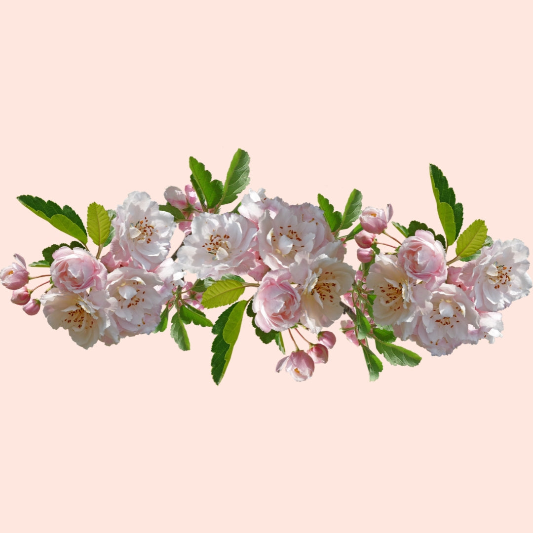Neroli Flower