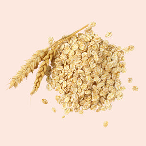 Oats and a wheat ear on a beige background