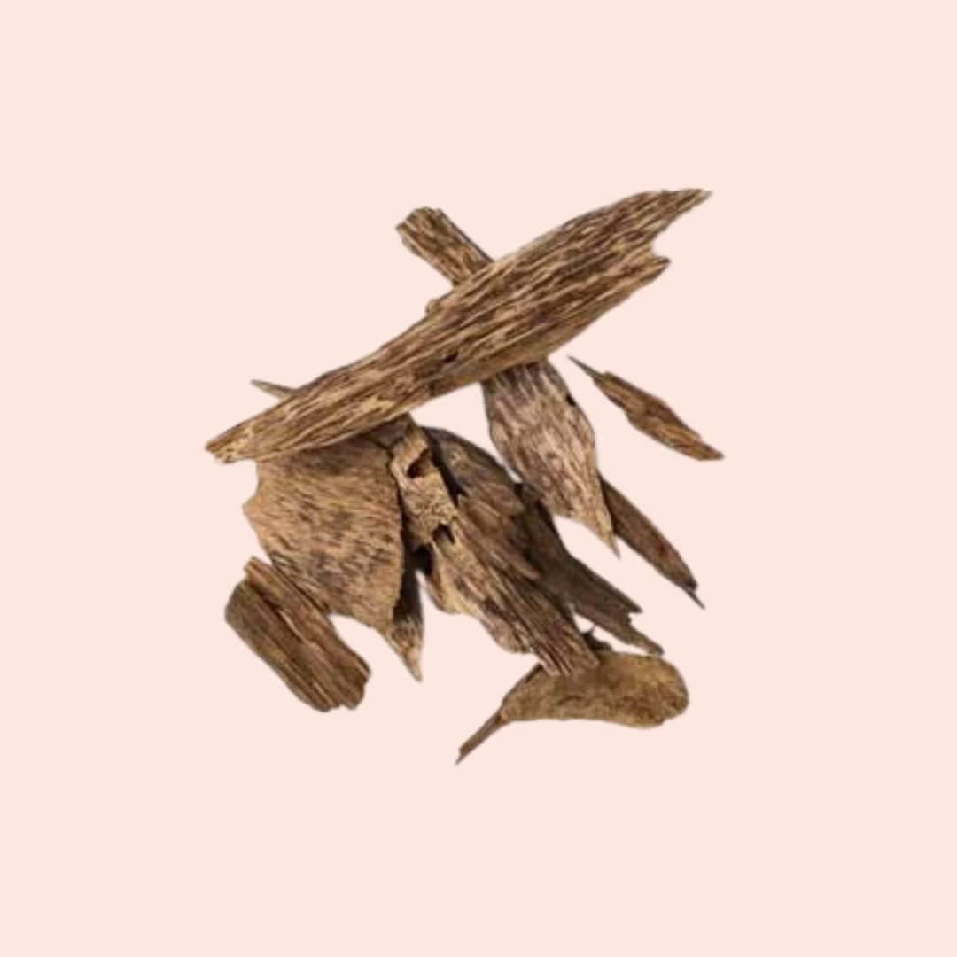 Dried cinnamon sticks on a beige background