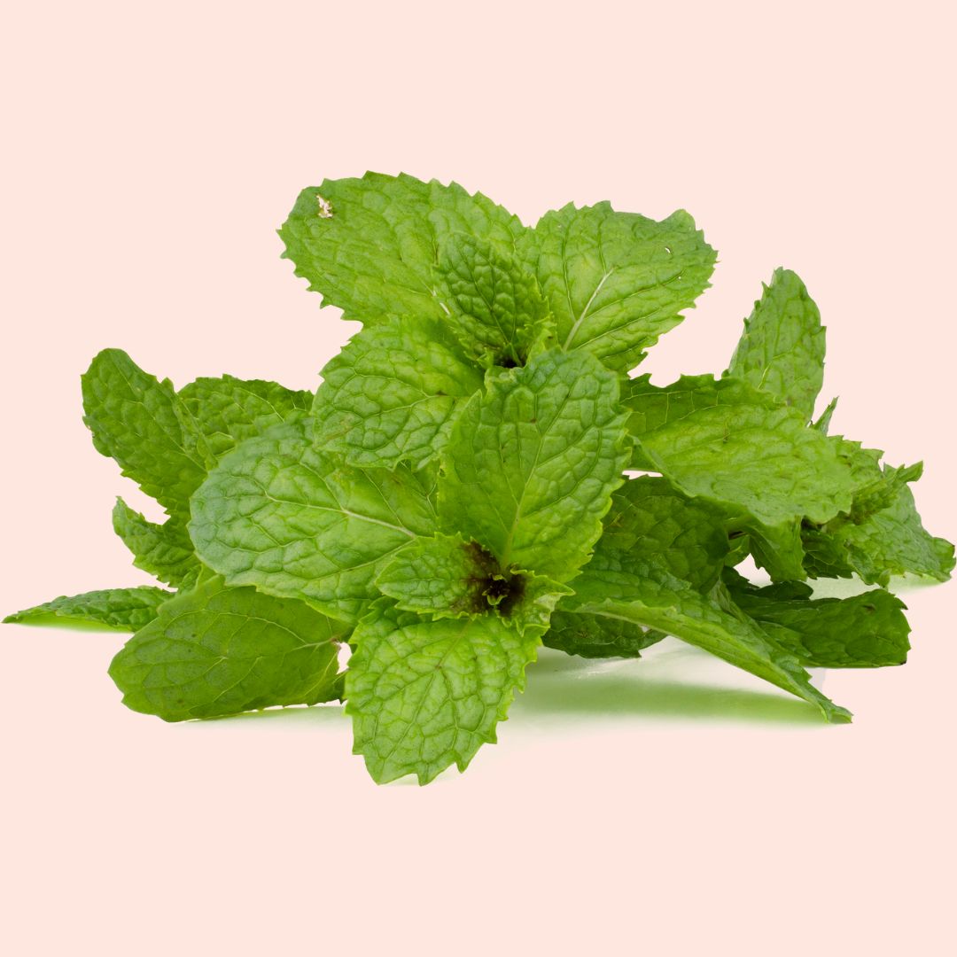Peppermint