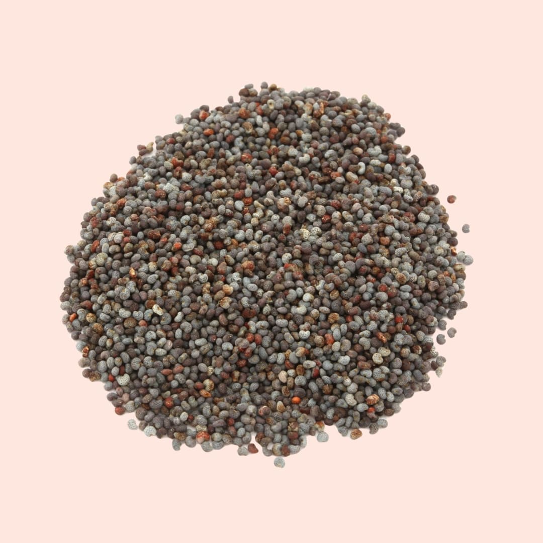 Close-up of a pile of multicolored seeds on a light pink background