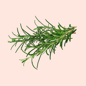 Rosemary