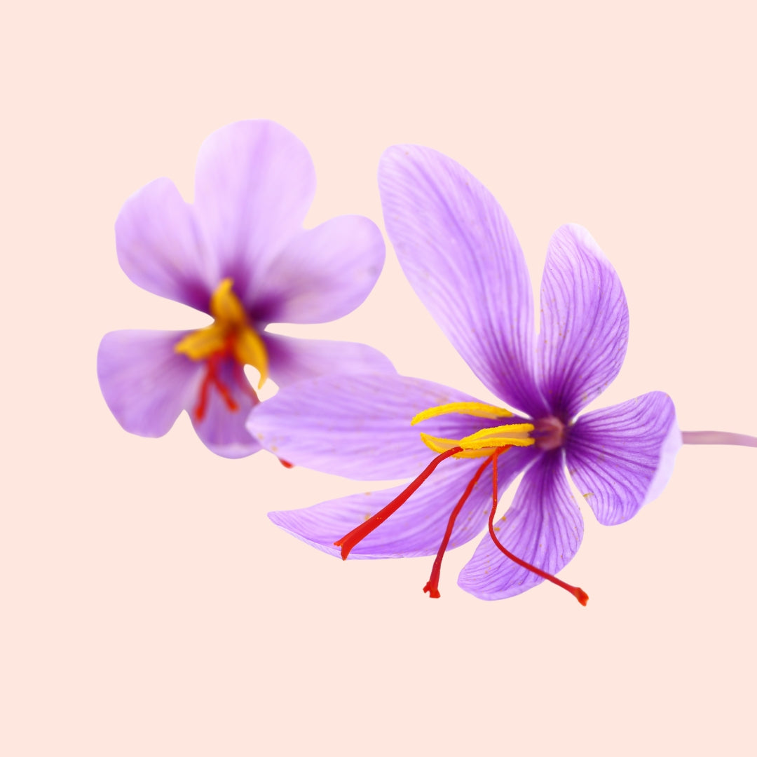 Saffron