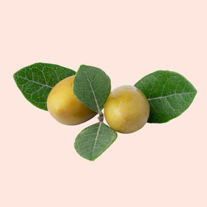 Two yellow fruits with green leaves on a light pink background
