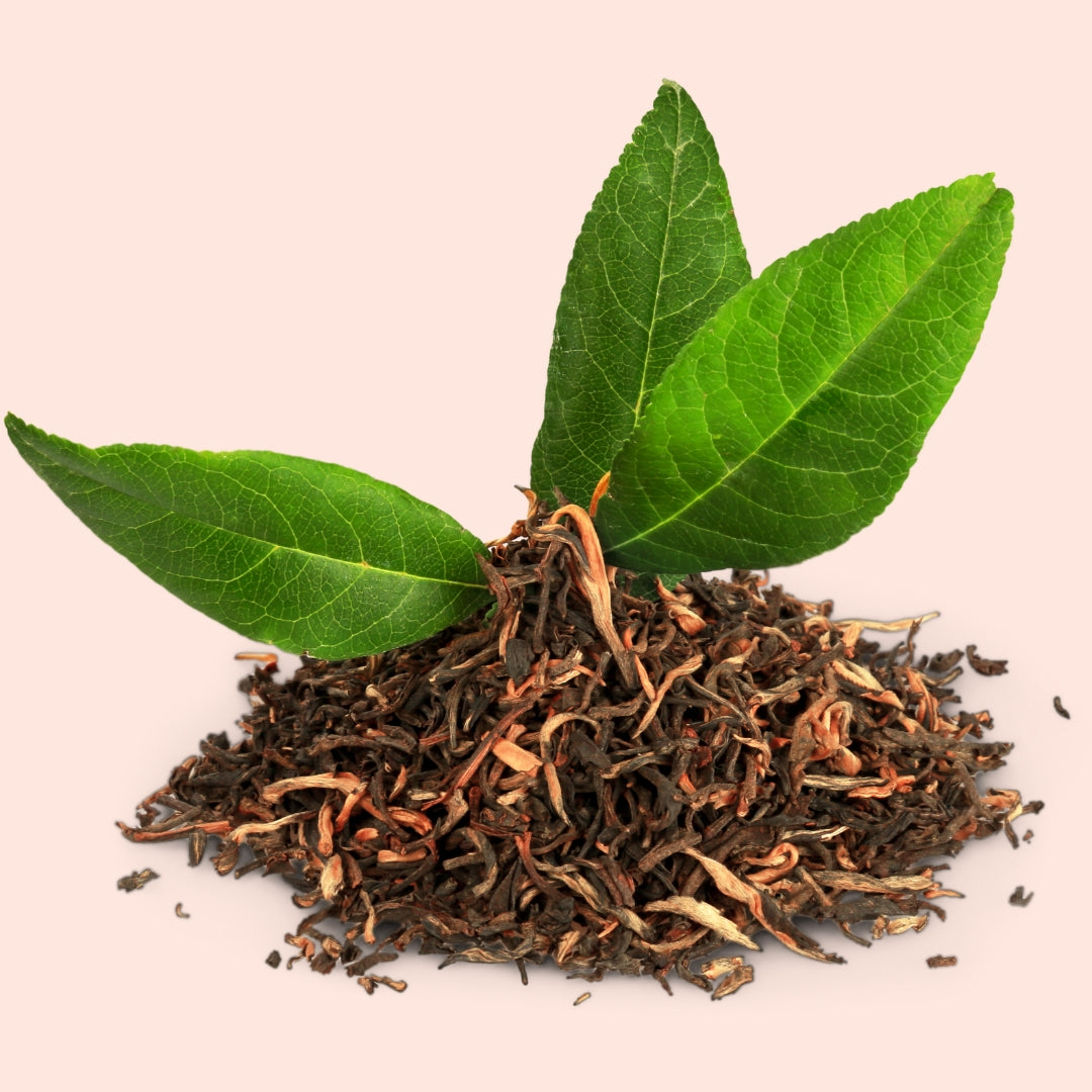 Tea Tree Leaf